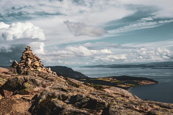 Cultivez votre passion : comment adopter une vigne